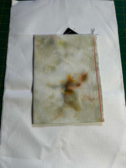 Golden Sands ~ 18ct Aida ~ 13 x 17 (mis-dye)