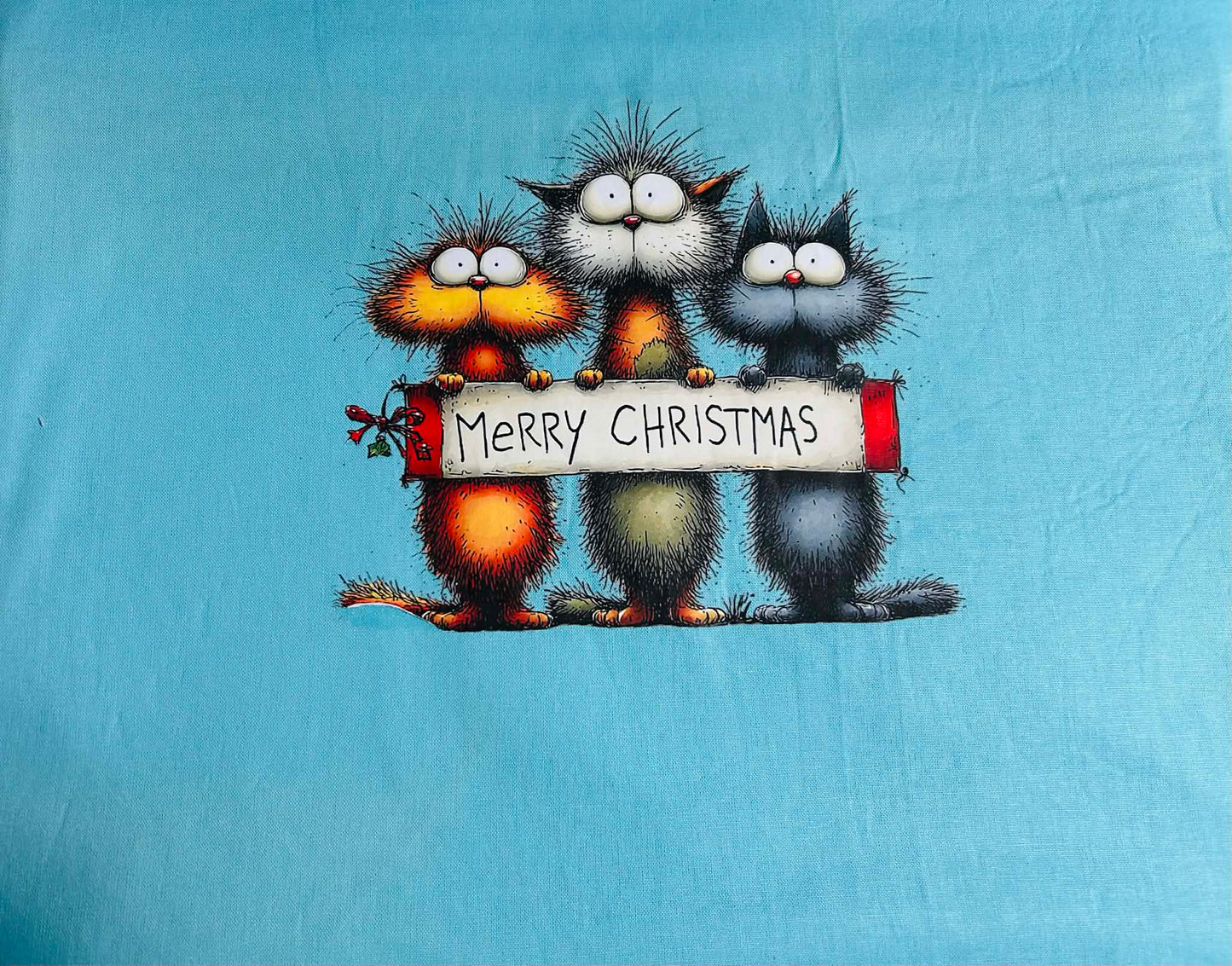 Nutcrackers ~ Large (Light Blue Zip)