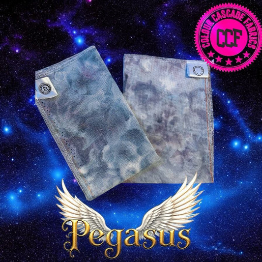 Pegasus